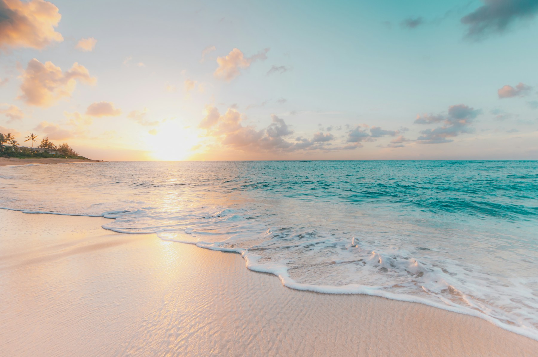 Florida landscape photography collection