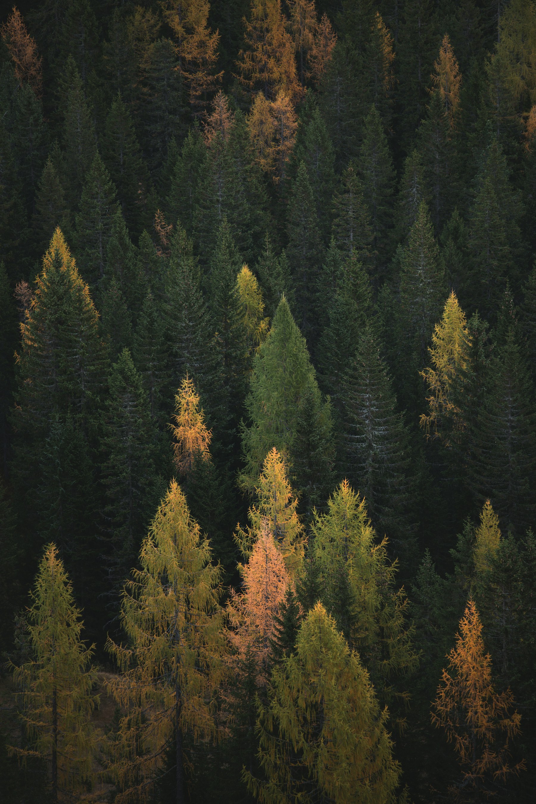 Colorado landscape photography collection