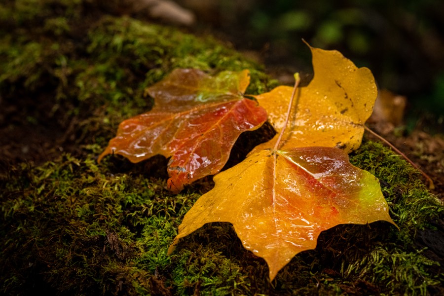 IOWA landscape photography by Paul Kestel